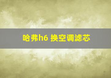 哈弗h6 换空调滤芯